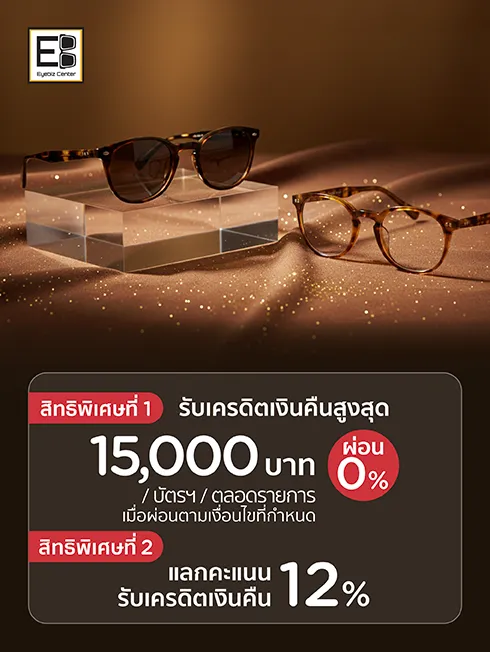 ร้านแว่นตา EYEBIZ